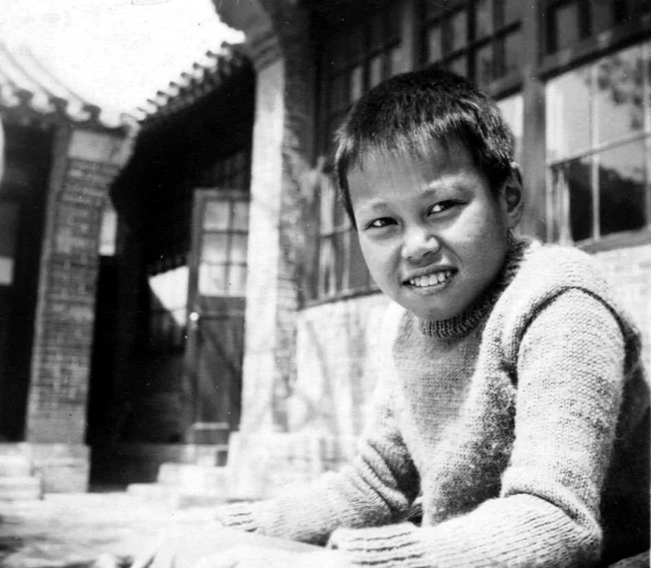 Portrait of Yang Zhengming